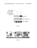 METHODS AND COMPOSITIONS FOR INHIBITION OF NEUTROPHIL EXOCYTOSIS diagram and image