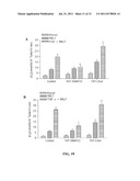 METHODS AND COMPOSITIONS FOR INHIBITION OF NEUTROPHIL EXOCYTOSIS diagram and image