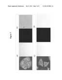 PEPTIDE NUCLEIC ACID DERIVATIVES WITH GOOD CELL PENETRATION AND STRONG     AFFINITY FOR NUCLEIC ACID diagram and image