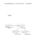 Oxylipins From Long Chain Polyunsaturated Fatty Acids and Methods of     Making and Using the Same diagram and image