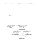 Oxylipins From Long Chain Polyunsaturated Fatty Acids and Methods of     Making and Using the Same diagram and image