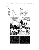 MEDICAL INTERVENTION IN HAEMATOLOGICAL CANCERS diagram and image