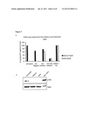 MEDICAL INTERVENTION IN HAEMATOLOGICAL CANCERS diagram and image