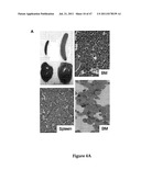 INHIBITORY RNAS THAT REGULATE HEMATOPOIETIC CELLS diagram and image