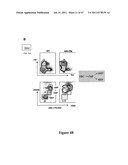 INHIBITORY RNAS THAT REGULATE HEMATOPOIETIC CELLS diagram and image