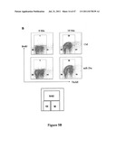 INHIBITORY RNAS THAT REGULATE HEMATOPOIETIC CELLS diagram and image