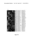 INHIBITORY RNAS THAT REGULATE HEMATOPOIETIC CELLS diagram and image