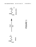 CONTINUOUS PRODUCTION OF DMAEA QUATERNARY SALTS diagram and image