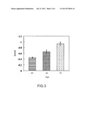 Method of Quantitative Analysis Utilizing Multiphoton Microscopy diagram and image