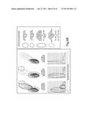 METHOD FOR DETERMINING SKIN GLYCATION diagram and image