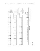 HOST INTRUSION PREVENTION SERVER diagram and image