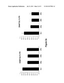 Methods for Reverting Methylation by Targeting DNMT3A and DNMT3B diagram and image