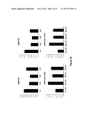 Methods for Reverting Methylation by Targeting DNMT3A and DNMT3B diagram and image