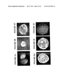 Method For Coral Tissue Cultivation And Propagation diagram and image