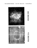 Method For Coral Tissue Cultivation And Propagation diagram and image