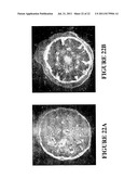 Method For Coral Tissue Cultivation And Propagation diagram and image