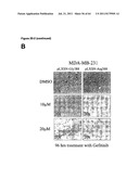 RODENT CANCER MODEL FOR HUMAN FGFR4 ARG388 POLYMORPHISM diagram and image