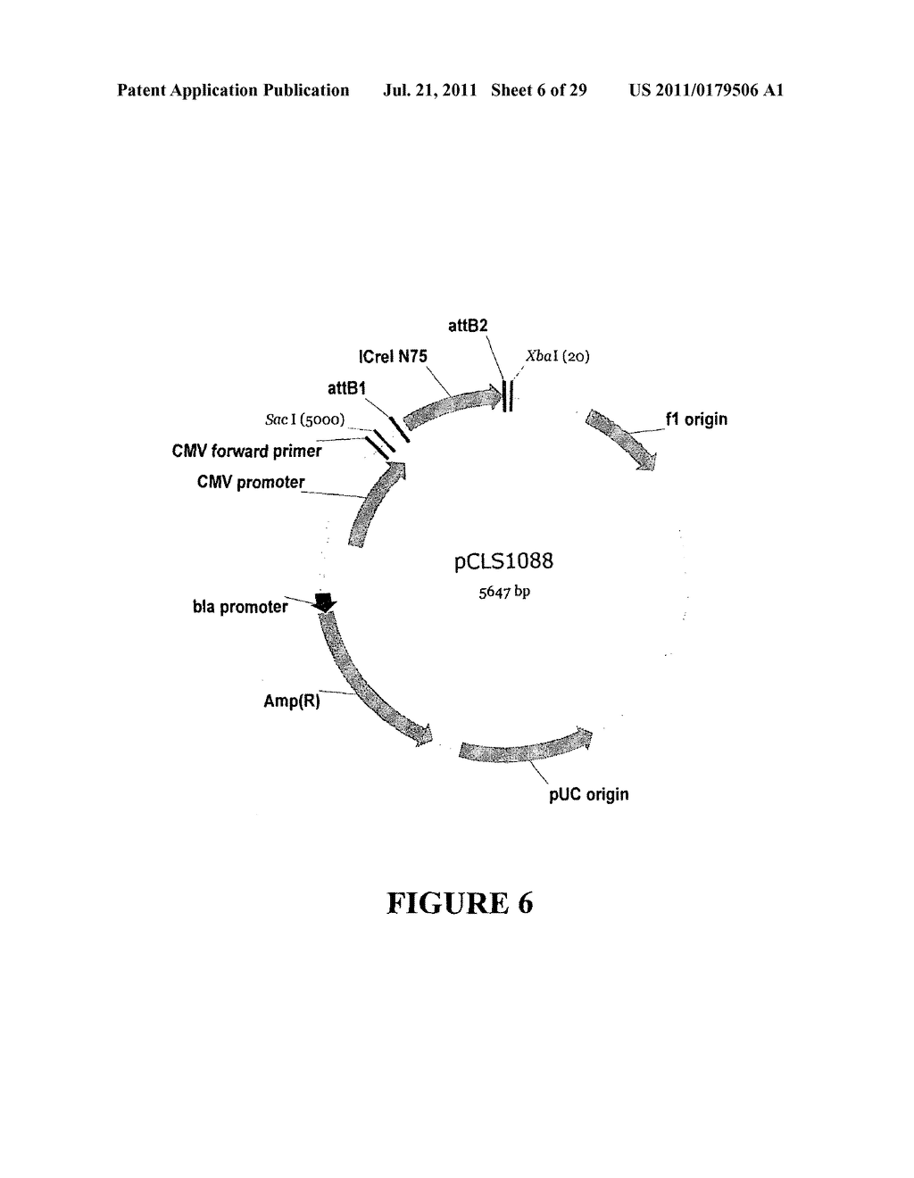 NEW I-CREI DERIVED SINGLE-CHAIN MEGANUCLEASE AND USES THEREOF - diagram, schematic, and image 07