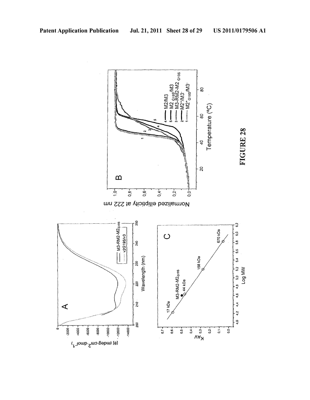 NEW I-CREI DERIVED SINGLE-CHAIN MEGANUCLEASE AND USES THEREOF - diagram, schematic, and image 29