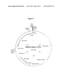 GENE EXPRESSION CONTROL IN PLANTS diagram and image