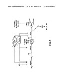 Methods of Affecting Nitrogen Assimilation In Plants diagram and image