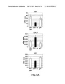 Methods of Affecting Nitrogen Assimilation In Plants diagram and image