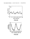 Methods of Affecting Nitrogen Assimilation In Plants diagram and image