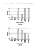 Methods of Affecting Nitrogen Assimilation In Plants diagram and image