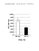 Methods of Affecting Nitrogen Assimilation In Plants diagram and image