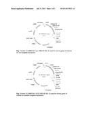 Method for Producing a Transgenic Plant Cell, a Plant or a Part Thereof     with Increased Resistance Biotic Stress diagram and image