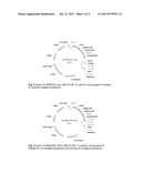 Method for Producing a Transgenic Plant Cell, a Plant or a Part Thereof     with Increased Resistance Biotic Stress diagram and image