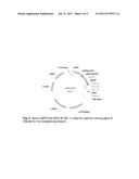 Method for Producing a Transgenic Plant Cell, a Plant or a Part Thereof     with Increased Resistance Biotic Stress diagram and image