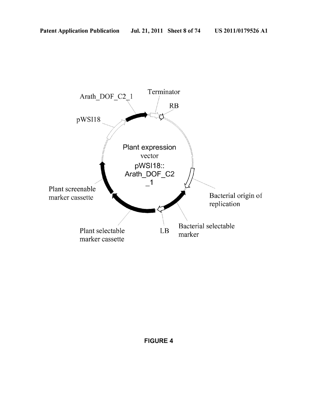 PLANTS HAVING ENHANCED YIELD-RELATED TRAITS AND A METHOD FOR MAKING THE     SAME - diagram, schematic, and image 09