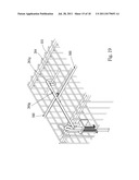 CAPTURE CAGE diagram and image