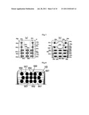 KEY SHEET diagram and image