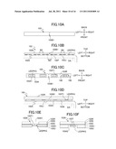 LIQUID CRYSTAL DISPLAY DEVICE AND ILLUMINATING DEVICE diagram and image