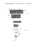 OPTOFLUIDIC MICROSCOPE DEVICE WITH PHOTOSENSOR ARRAY diagram and image