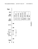 DATA INDICATOR FOR PERSISTENTLY ALLOCATED PACKETS IN A COMMUNICATIONS     SYSTEM diagram and image