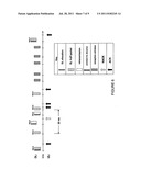 DATA INDICATOR FOR PERSISTENTLY ALLOCATED PACKETS IN A COMMUNICATIONS     SYSTEM diagram and image