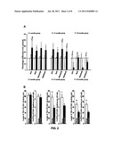 Method of Promoting Neurogenesis diagram and image