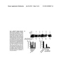 USE OF TLR AGONISTS AND/OR TYPE 1 INTERFERONS TO ALLEVIATE TOXICITY OF     TNF-R AGONIST THERAPEUTIC REGIMENS diagram and image