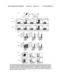 USE OF TLR AGONISTS AND/OR TYPE 1 INTERFERONS TO ALLEVIATE TOXICITY OF     TNF-R AGONIST THERAPEUTIC REGIMENS diagram and image