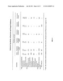 NOVEL CLASS OF THERAPEUTIC PROTEIN BASED MOLECULES diagram and image