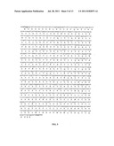 NOVEL CLASS OF THERAPEUTIC PROTEIN BASED MOLECULES diagram and image