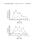 NOVEL CLASS OF THERAPEUTIC PROTEIN BASED MOLECULES diagram and image