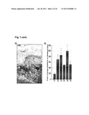 SIGNATURE AND DETERMINANTS ASSOCIATED WITH METASTASIS AND METHODS OF USE     THEREOF diagram and image