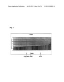 SIGNATURE AND DETERMINANTS ASSOCIATED WITH METASTASIS AND METHODS OF USE     THEREOF diagram and image