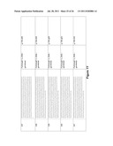 P-CADHERIN ANTIBODIES diagram and image