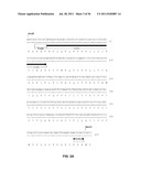 HUMANIZED ANTI-CD22 ANTIBODIES AND THEIR USE IN TREATMENT OF ONCOLOGY,     TRANSPLANTATION AND AUTOIMMUNE DISEASE diagram and image