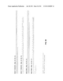 HUMANIZED ANTI-CD22 ANTIBODIES AND THEIR USE IN TREATMENT OF ONCOLOGY,     TRANSPLANTATION AND AUTOIMMUNE DISEASE diagram and image